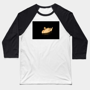 Swan 7 / Swiss Artwork Photography Baseball T-Shirt